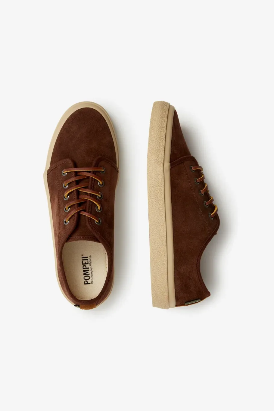 Shop POMPEII HIGBY V2 COCOA