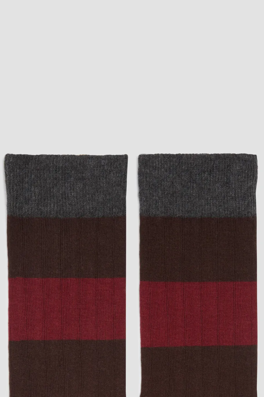 Fashion POMPEII STRIPES CACAO BURGUNDY