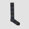 Discount POMPEII STRIPES SPRUCE TUNDRA